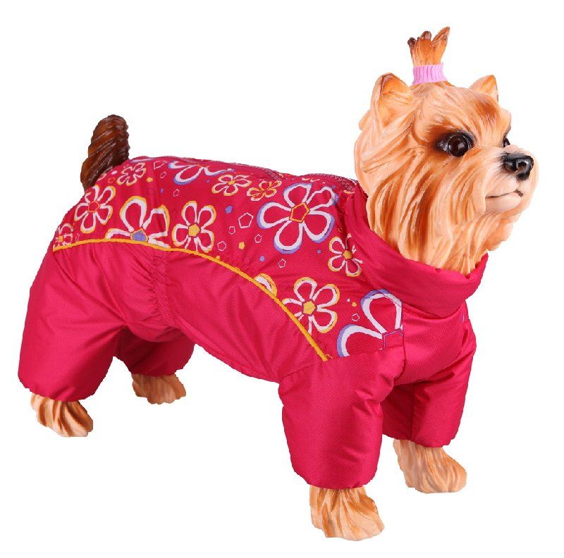 Дождевик-комбинезон для собак DEZZIE Китайская хохлатая с красными цветами